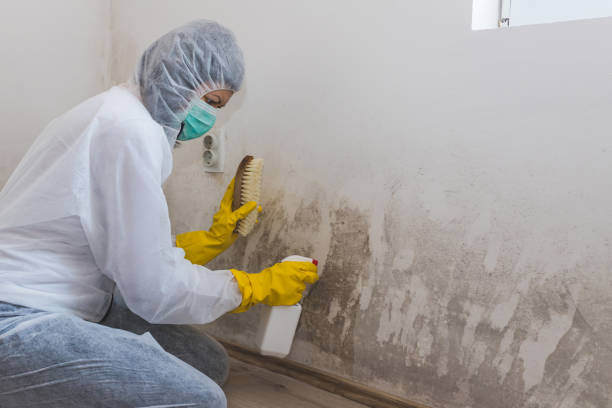 Best Crawl Space Mold Removal  in Ivanhoe, TX
