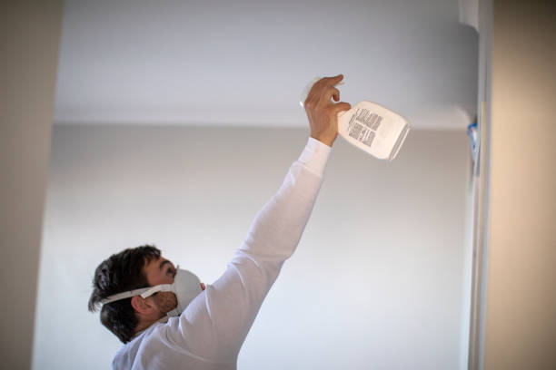 Best Affordable Mold Removal  in Ivanhoe, TX