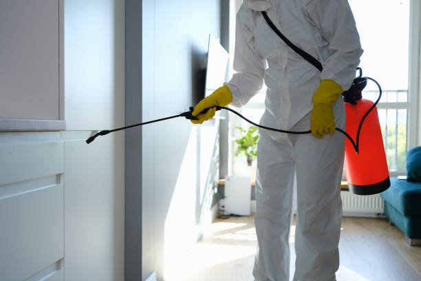 Best Mold Inspection  in Ivanhoe, TX
