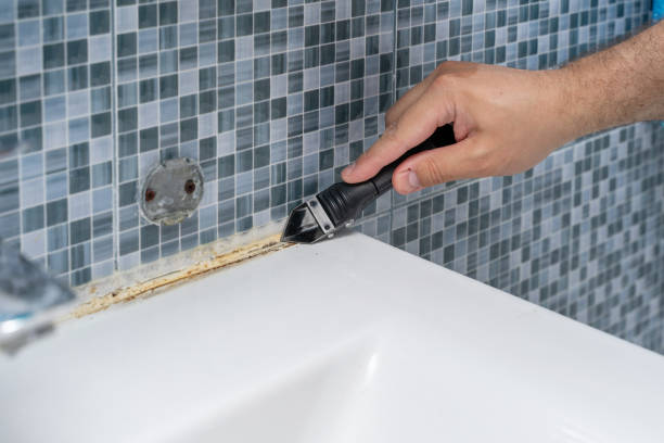Best Mold Damage Repair  in Ivanhoe, TX