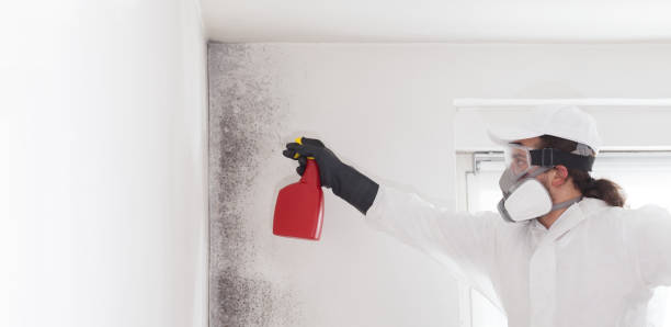 Best Residential Mold Removal  in Ivanhoe, TX