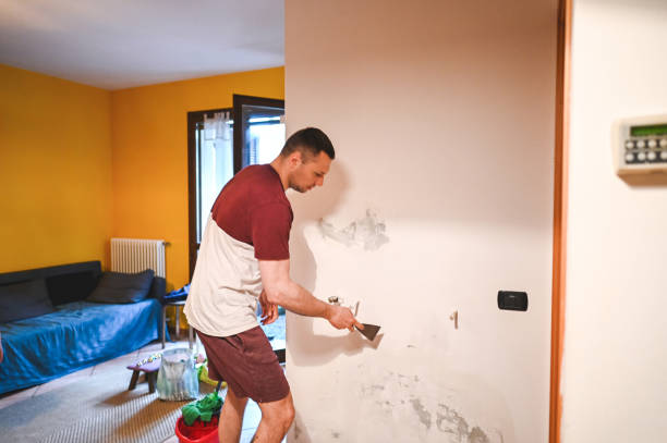 Best Fast Mold Removal  in Ivanhoe, TX